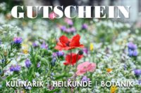 Gutschein Wildkräuterexkursion