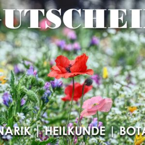 Gutschein Wildkräuterexkursion