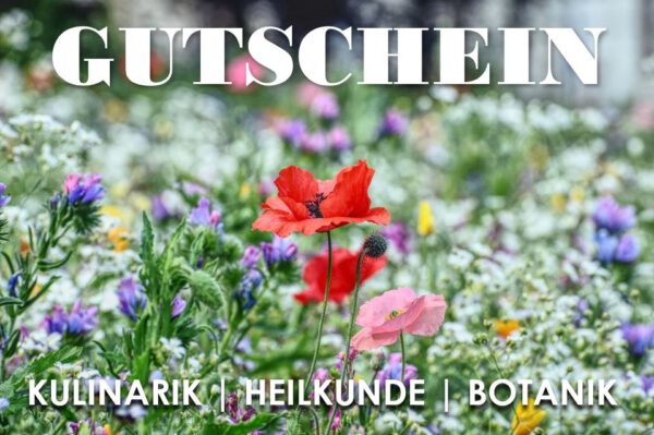 Gutschein Wildkräuterexkursion